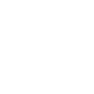 کاروانسرای مشجری